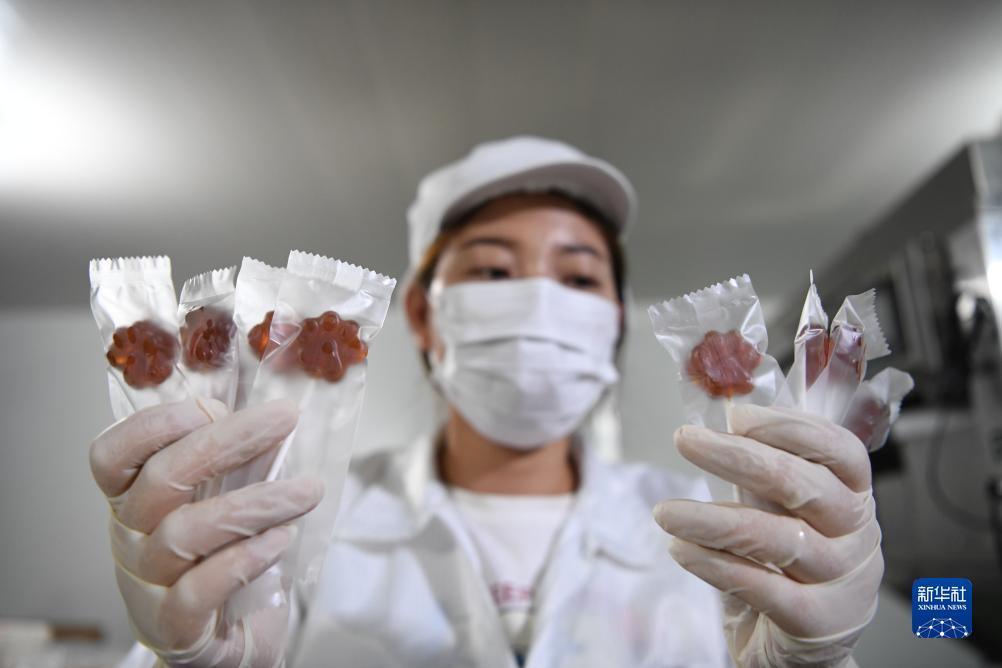 千赢娱乐登录